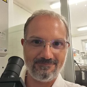 Marco Lalle