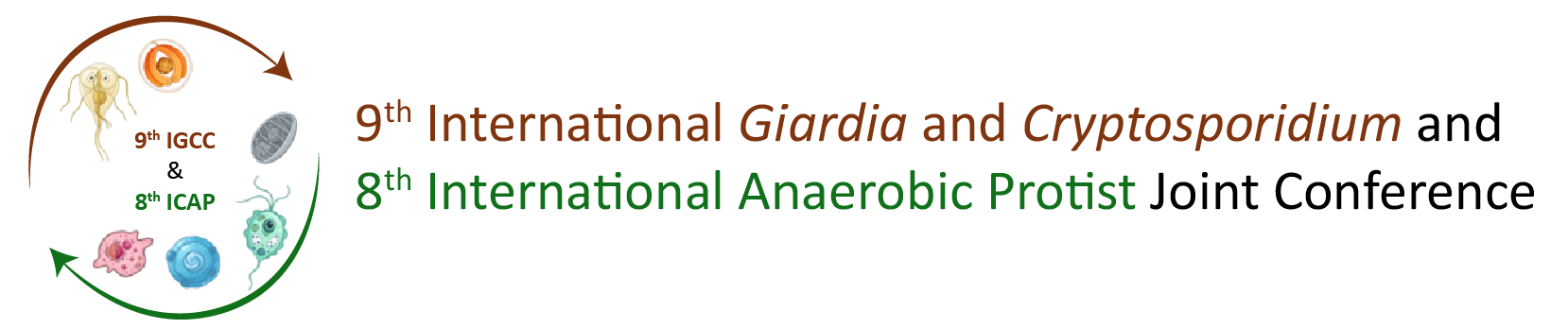 Joint IGCC-ICAP 2027 logo